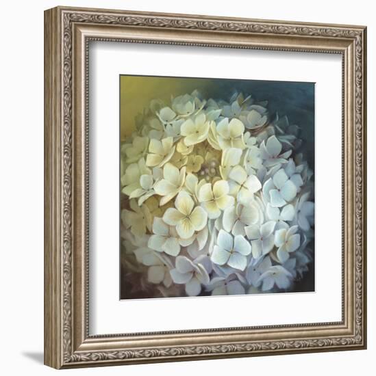 Hydrangea Portrait-Lisa Audit-Framed Art Print