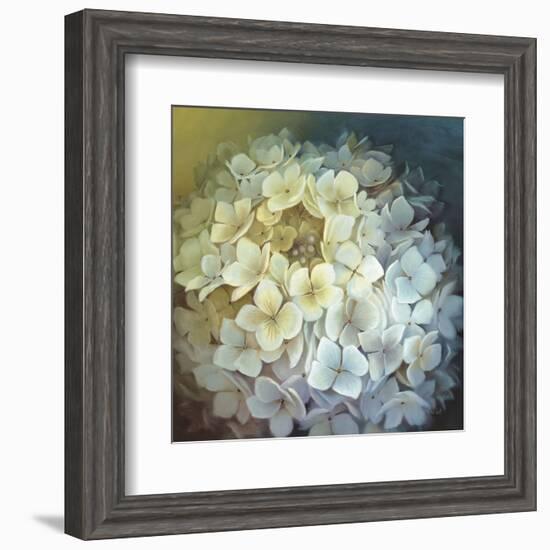 Hydrangea Portrait-Lisa Audit-Framed Art Print