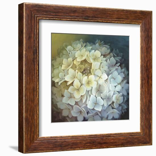 Hydrangea Portrait-Lisa Audit-Framed Art Print