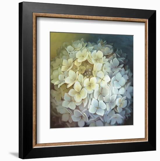 Hydrangea Portrait-Lisa Audit-Framed Art Print