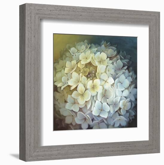 Hydrangea Portrait-Lisa Audit-Framed Art Print