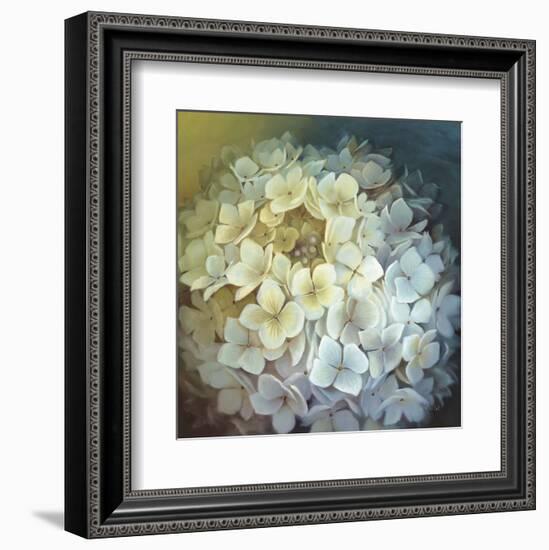 Hydrangea Portrait-Lisa Audit-Framed Art Print