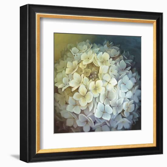 Hydrangea Portrait-Lisa Audit-Framed Art Print