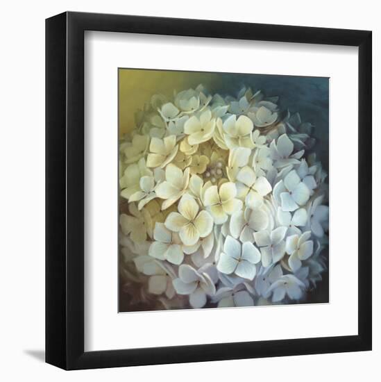 Hydrangea Portrait-Lisa Audit-Framed Art Print