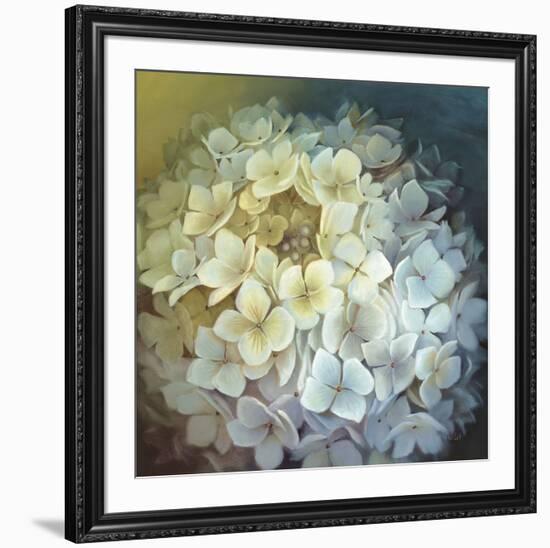 Hydrangea Portrait-Lisa Audit-Framed Art Print