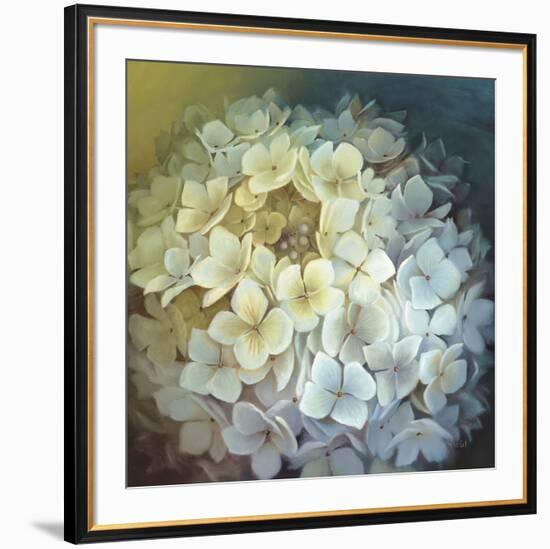 Hydrangea Portrait-Lisa Audit-Framed Art Print