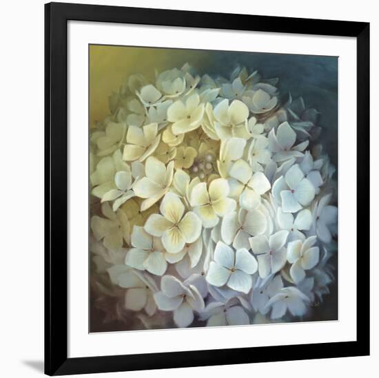 Hydrangea Portrait-Lisa Audit-Framed Art Print