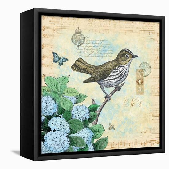 Hydrangea Songbird No. 8-Christopher James-Framed Stretched Canvas