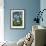 Hydrangea Variation-Stacy Bass-Framed Giclee Print displayed on a wall