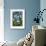 Hydrangea Variation-Stacy Bass-Framed Giclee Print displayed on a wall