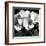 Hydrangea-Darlene Shiels-Framed Art Print