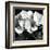 Hydrangea-Darlene Shiels-Framed Art Print