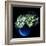 Hydrangea-Magda Indigo-Framed Photographic Print