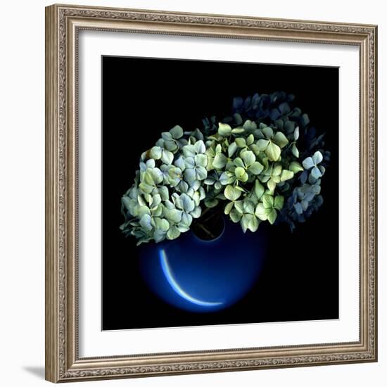 Hydrangea-Magda Indigo-Framed Photographic Print