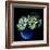 Hydrangea-Magda Indigo-Framed Photographic Print