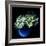 Hydrangea-Magda Indigo-Framed Photographic Print