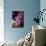 Hydrangea-Karyn Millet-Photographic Print displayed on a wall