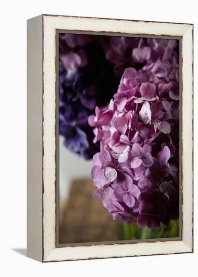 Hydrangea-Karyn Millet-Framed Premier Image Canvas