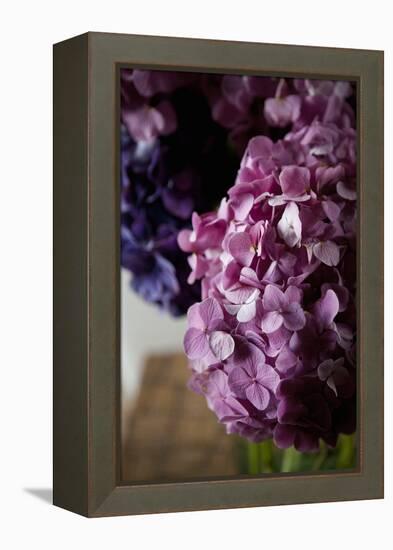 Hydrangea-Karyn Millet-Framed Premier Image Canvas