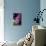 Hydrangea-Karyn Millet-Photographic Print displayed on a wall