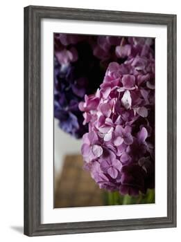 Hydrangea-Karyn Millet-Framed Photographic Print