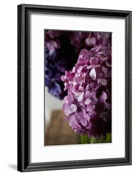 Hydrangea-Karyn Millet-Framed Photographic Print