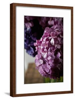 Hydrangea-Karyn Millet-Framed Photographic Print