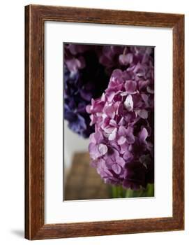 Hydrangea-Karyn Millet-Framed Photographic Print