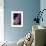 Hydrangea-Karyn Millet-Framed Photographic Print displayed on a wall