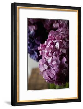 Hydrangea-Karyn Millet-Framed Photographic Print