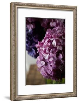 Hydrangea-Karyn Millet-Framed Photographic Print