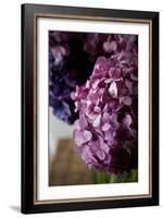 Hydrangea-Karyn Millet-Framed Photographic Print