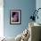 Hydrangea-Karyn Millet-Framed Photographic Print displayed on a wall
