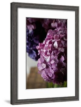 Hydrangea-Karyn Millet-Framed Photographic Print