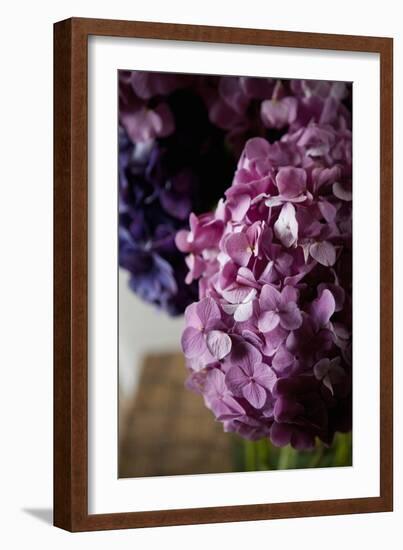 Hydrangea-Karyn Millet-Framed Photographic Print