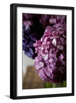 Hydrangea-Karyn Millet-Framed Photographic Print