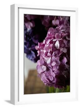 Hydrangea-Karyn Millet-Framed Photographic Print