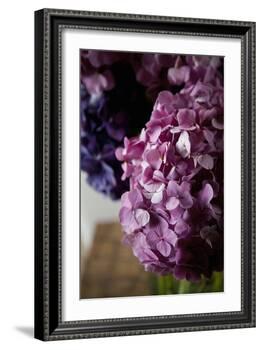 Hydrangea-Karyn Millet-Framed Photographic Print