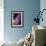 Hydrangea-Karyn Millet-Framed Photographic Print displayed on a wall