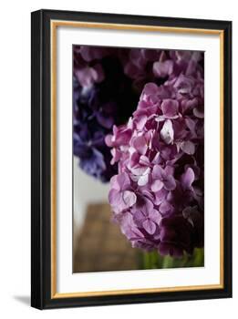 Hydrangea-Karyn Millet-Framed Photographic Print