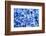 Hydrangea-dwph-Framed Photographic Print