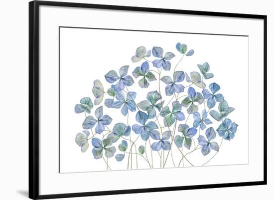 Hydrangea-Mandy Disher-Framed Photographic Print