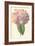 Hydrangea-Frederick Edward Hulme-Framed Giclee Print