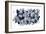 Hydrangea-HR-FM-Framed Art Print