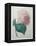 Hydrangea-Pierre-Joseph Redoute-Framed Stretched Canvas