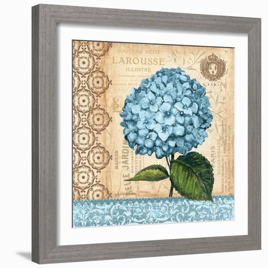 Hydrangea-Gregory Gorham-Framed Art Print