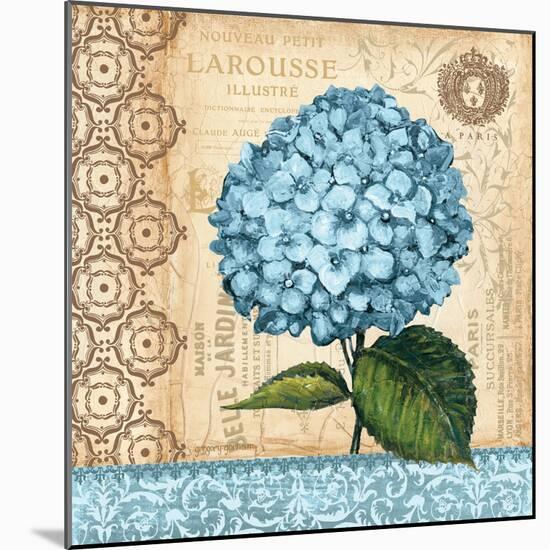 Hydrangea-Gregory Gorham-Mounted Art Print