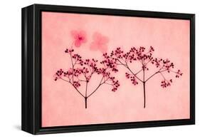 Hydrangea-Graeme Harris-Framed Premier Image Canvas