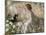 Hydrangeas, 1901-Philip Wilson Steer-Mounted Giclee Print