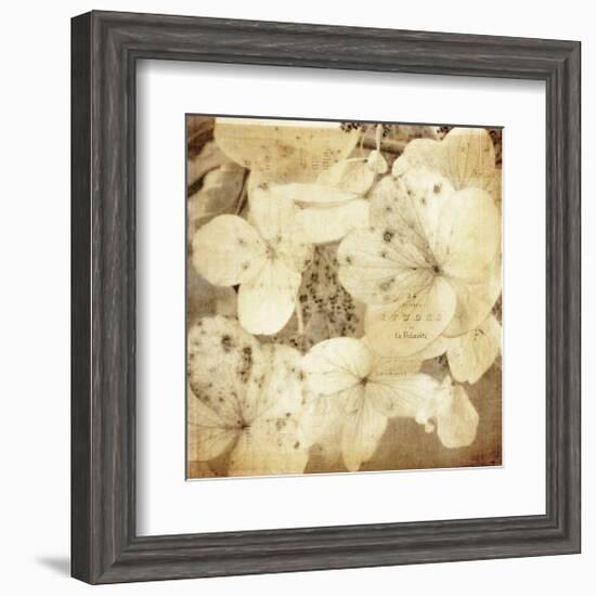 Hydrangeas 1-Dawne Polis-Framed Giclee Print